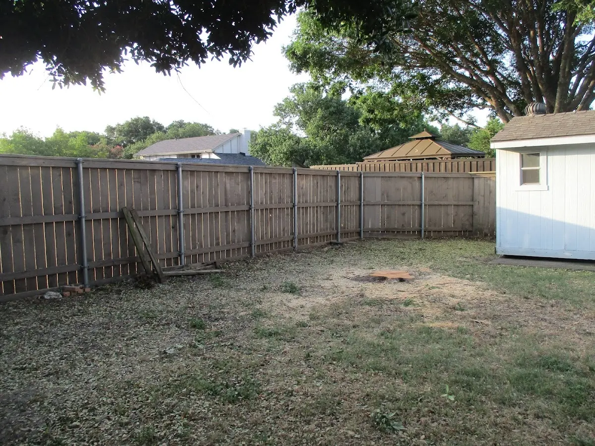 Cleared yard after professional tree removal in Watertown